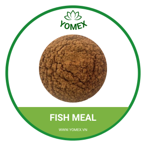 FISH MEAL