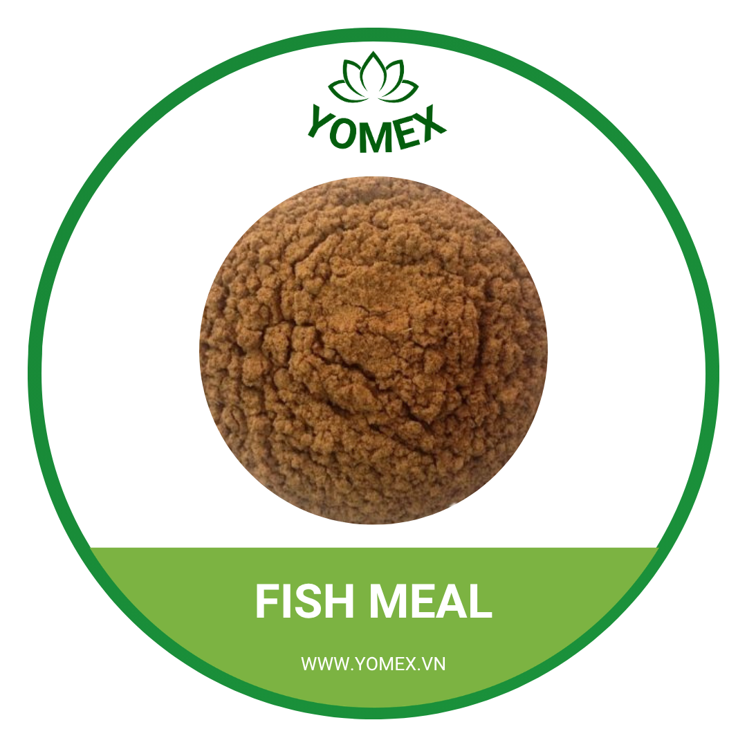 FISH MEAL