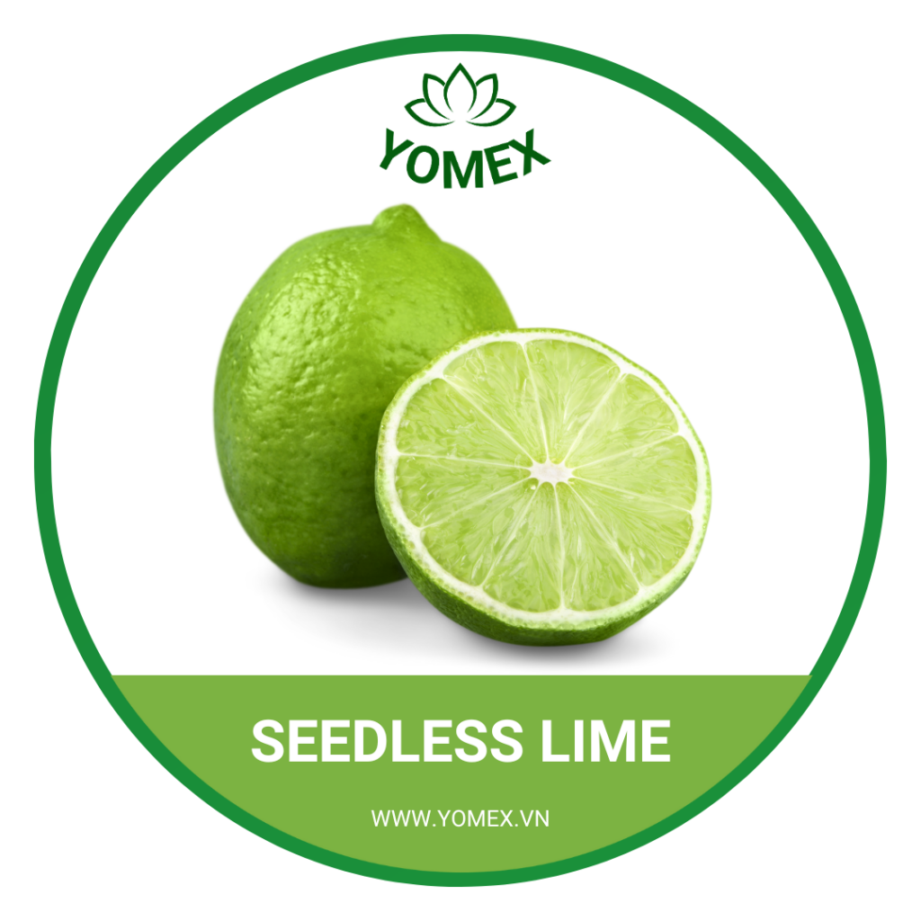 Lime Seed Less SEEDLESS LIME - YOMEX