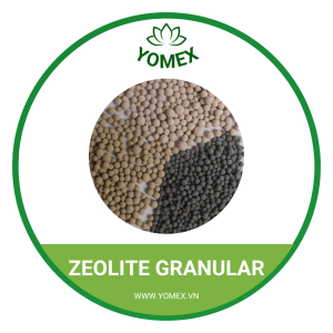 ZEOLITE GRANULAR