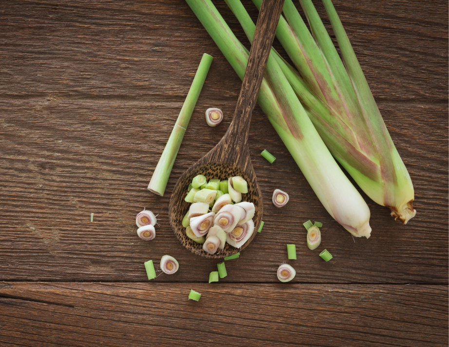 Lemongrass illustration